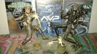 Figura-alien-vs-predator-mas-detallada-mirando-hacia-la-camara-y-el-casco-del-alien-quitado-donde-se-le-ven-sus-ojos-y-su-cerebro-c_s