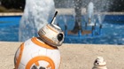 Os-presento-a-2-de-mis-tres-bb-8-que-tengo-c_s