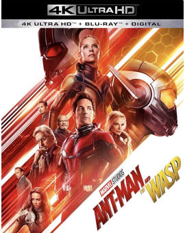 Ant-man y la avispa 4K