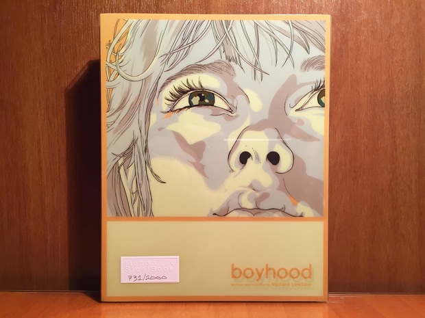 Boyhood (Steelbook Future Shop) (1/3)