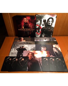 Los Juegos Del Hambre: Sinsajo Parte I (Filmarena Steelbook) 4/4