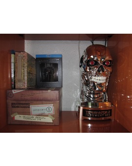 Terminator 2 Skynet Fan Edition + series