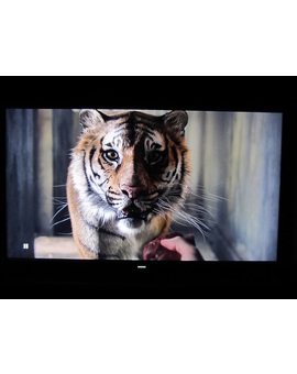 Nueva Samsung UE40F8000SL (4/4)