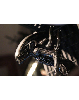 Nueva figura. Kotobukiya: Alien Big Chap (3/3)