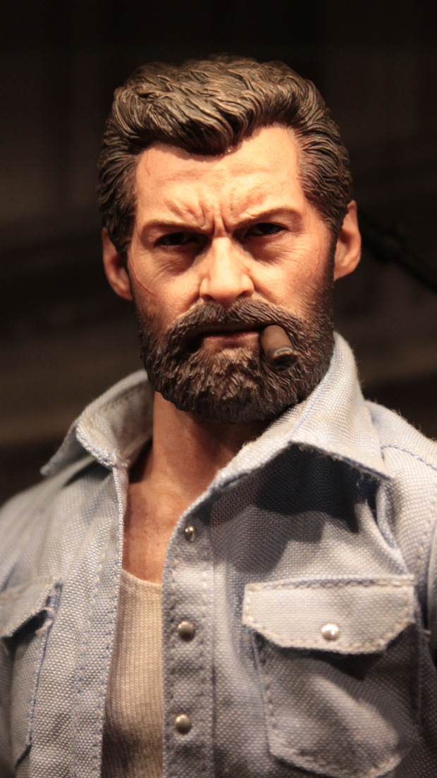 Nueva figura. Logan (2/3)