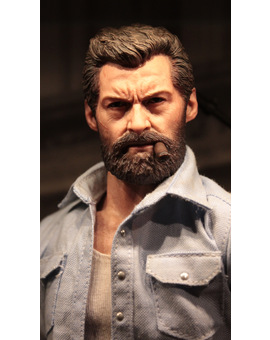 Nueva figura. Logan (2/3)