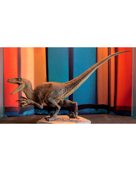 Figura Jurassic Park: Velociraptor (1/2)