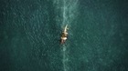 In-the-heart-of-the-sea-de-ron-howard-poster-y-trailer-c_s
