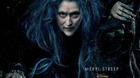 Into-the-woods-poster-1-c_s