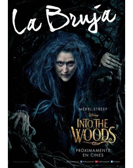 INTO THE WOODS póster 1