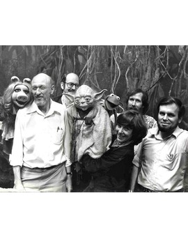 Visitantes ilustres en STAR WARS V