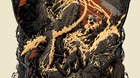 El-senor-de-los-anillos-la-comunidad-del-anillo-poster-de-aaron-horkey-c_s