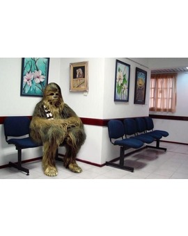 En la sala de espera del hospital donde está ingresado HARRISON FORD.