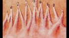 Mad-max-fury-road-poster-de-andy-fairhust-c_s