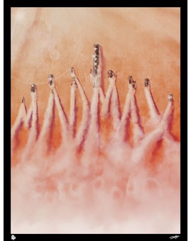 MAD MAX: FURY ROAD póster de ANDY FAIRHURST