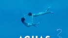 Aguas-tranquilas-c_s