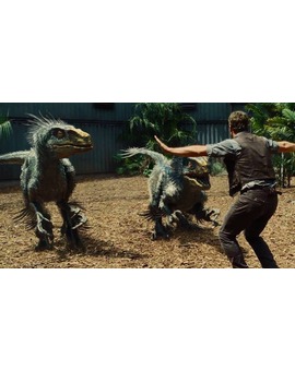 Parece que según los últimos estudios así serían los VELOCIRAPTORES en realidad.