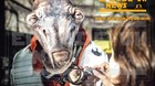 Este-es-bullhead-c_s