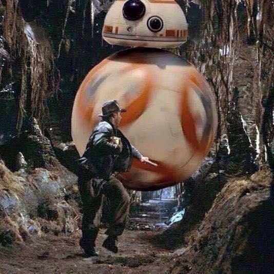 ¡Corre, Indi, corre!