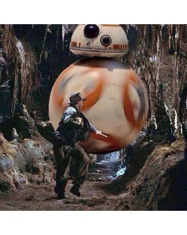 ¡Corre, Indi, corre!