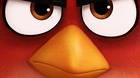 The-angry-birds-poster-c_s