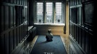 The-boy-trailer-c_s