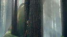 Petes-dragon-primer-poster-c_s