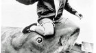 La-evolucion-de-spielberg-c_s