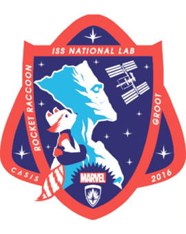 Emblema de la NASA para una próxima misión.