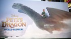 Madre-de-dragones-c_s