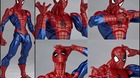Spider-man-c_s