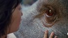 Okja-teaser-c_s