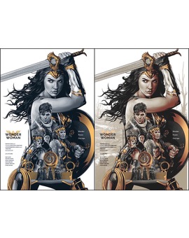 'Wonder Woman' póster de Amien Juugo.