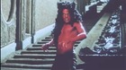 Chocolates-cadbury-hace-unos-anos-encargo-a-jonathan-glazer-under-the-skin-un-anuncio-lo-hizo-y-lo-rechazaron-c_s