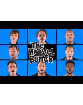 The Marvel Bunch