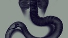Alien-poster-de-benedict-woodhead-c_s