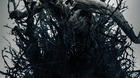 Image-c_s