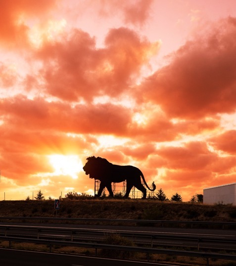El Rey León vigila las carreteras de Madrid.