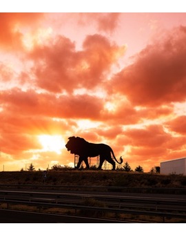 El Rey León vigila las carreteras de Madrid.