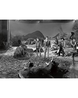 Foto cinéfila. ¿Película?