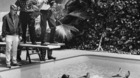 Foto-cinefila-pelicula-c_s