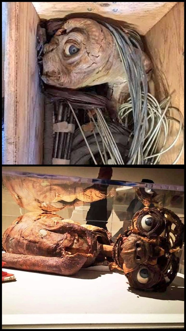 No sé qué título poner a esto.