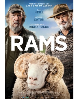 'Rams' de Jeremy Sims. Trailer.