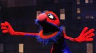 Desvelado-el-nuevo-interprete-de-spider-man-c_s