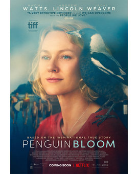 'Penguin Bloom' de Glendyn Ivin. Trailer.