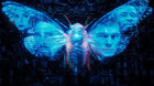 Dark-web-cicada-3301-de-alan-ritchson-trailer-c_s