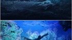 Avatar-2-concept-art-de-dylan-cole-c_s