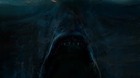 Tiburon-cartel-de-christopher-shy-c_s