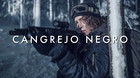 Cangrejo-negro-de-adam-berg-trailer-c_s