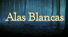 Alas-blancas-de-marc-forster-trailer-c_s